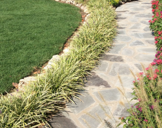 Kelley Design Project