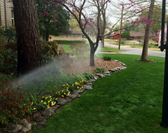 Kelley Design Project