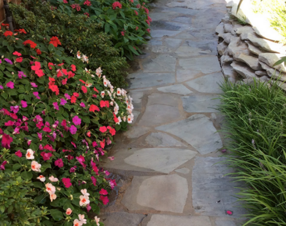Kelley Design Project